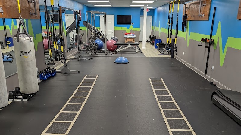Bounce Back Fitness