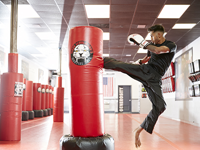 Tiger Schulmann's Martial Arts (Hoboken, NJ)