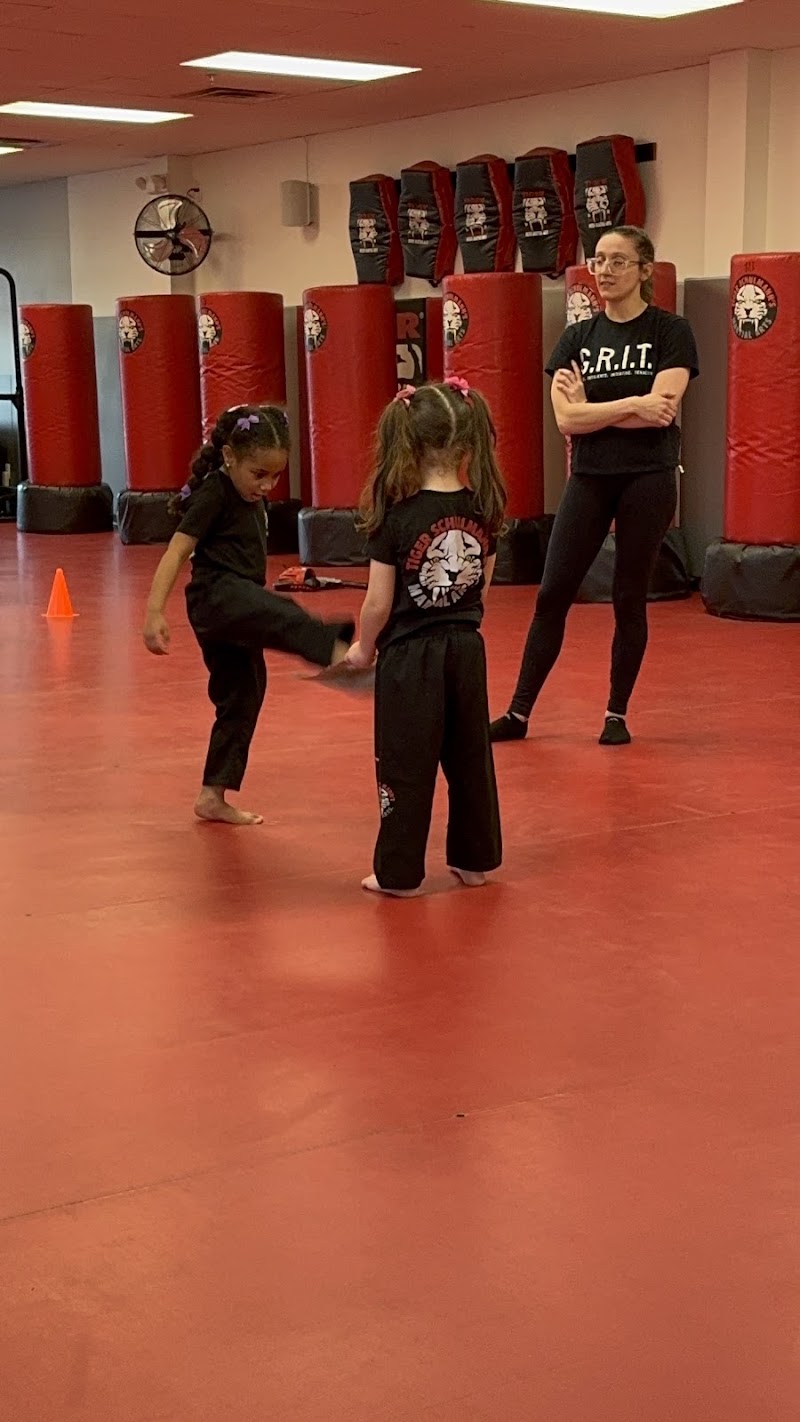 Tiger Schulmann's Martial Arts (Paramus, NJ)